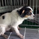 율촌주유소 이미지