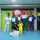 용인대 합기도 이미지