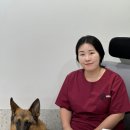 더프라임동물의료원 이미지