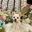 오늘, 더 예쁘게 이미지