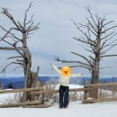 가족호텔 민들레동 이미지