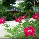 청솔농장3 이미지