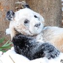 수원-지만-302 | [1월의일상] 이지만 2024년과 함께하는