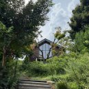 두렁바위 가든 | [경기/화성] '더포레' 화성카페추천 향남 카페 경기도카페 추천 화성 데이트코스