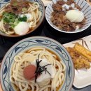 토로로 - 은평구 통일로 972 | 롯데월드몰 맛집 마루가메우동 내돈내산 추천ㅣ멘타이토로로, 니쿠타마 우동·규동·튀김 솔직 후기