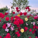 이기정농장 이미지