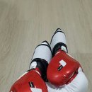 내리 복싱 다이어트 이미지