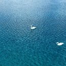 (주)무호 이미지