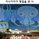 익상농장 | [바디프로필 준비 후기(4)] D-49 ~ D-31 기록.