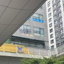 네일리(naily)