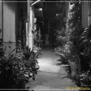 꿈이있는숲속유치원 이미지