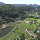 물미연꽃마을 이미지