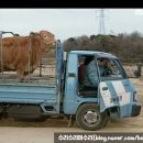 원식목장 이미지