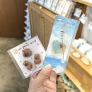 협재 바다의 선물 | 제주 협재해수욕장 기념품 선물가게 : 협재소품샵바다상점