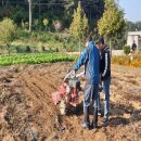 청솔영농조합법인 이미지