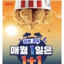 아직 점심을 안드셨다고요? 매월 1일 kfc 치킨 올데이 1+1 어떠십니까 이미지