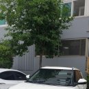 대경카공업사 이미지