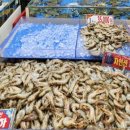 솔숲과 바다 | 태안 킹콩솔숲곰성캠핑장 1박 후기 🌲 바다뷰 감성 캠핑