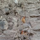 그날농장 이미지