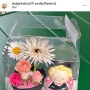 베이지보보