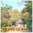 11월3일(일)남산단풍소풍데이트트레킹코스및코스안내(사전답사결과안내) 이미지