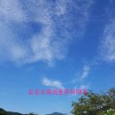 동강포도원펜션 이미지