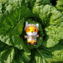 미우랑농장 이미지