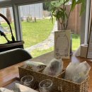 구목씨의 휴식 이미지