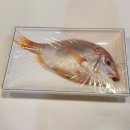 제주도여행 현지인추천 맛집 오마카세 초밥 제주시 이노우에스시 내돈내산 후기