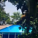 바위섬소도 이미지