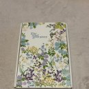 4204 | [결혼준비] 청첩장 무료 샘플 비교 후기 : 2탄 바른손카드