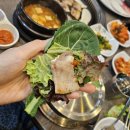영등포구청역 쌈밥 맛집 시골쌈밥 후기 | 코스트코 양평점 근처 점심 추천