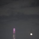 국립서울현충원 YTL화장실 | 서울 벚꽃 명소 추천 현충원 수양벚꽃 후기