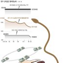 원리식당 이미지