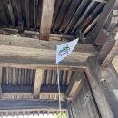 행정용 68 | 일본 오사카 출발 교토 일일 버스투어 아이트립 이용후기