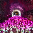 와인터널 이미지