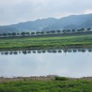 무등배수펌프장 이미지