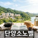 세종대로7길 | 오리온 신상 황치즈칩쿠키 품절대란 속 구매 후기
