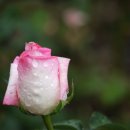 바람과 구름 이미지