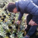 춘호농장 이미지