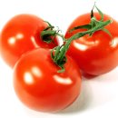 토마토휘트니스클럽 이미지