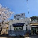 문호리쌀국수 | 벚꽃 드라이브의 완성! 가평 삼회리 데이트 코스 &amp; 문호리 쌀국수 후기