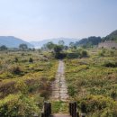 노현1리 이미지