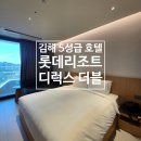 더블유카워시 김해점 | 김해 롯데호텔 리조트 디럭스 더블 5성급은 어떨까?