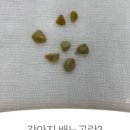 으뜸원동물병원 이미지