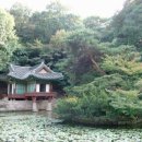 네모난 정원
