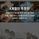 결로팡