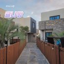 귤나방 | 제주도펜션 남원읍펜션 귤나방에서 만난 감성 독채의 여유