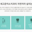 연세사랑니치과의원 이미지