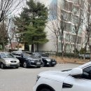 노원 중계동 꽃집 추천 벨플로르 선물 꽃다발 추천